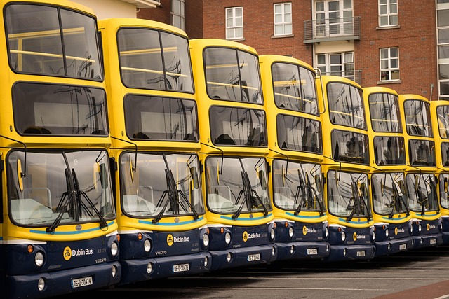 Eight yellow Dublin buses lined up next to each other